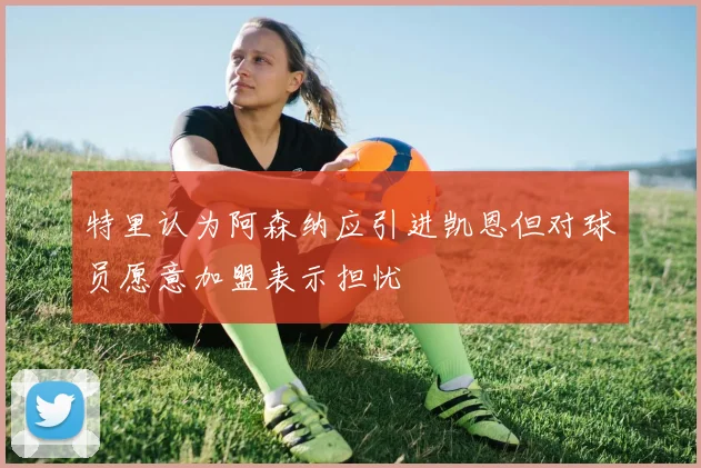 特里认为阿森纳应引进凯恩但对球员愿意加盟表示担忧