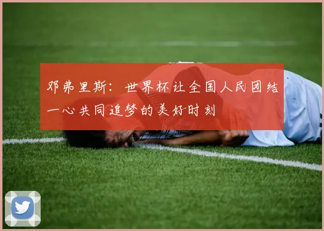邓弗里斯：世界杯让全国人民团结一心共同追梦的美好时刻
